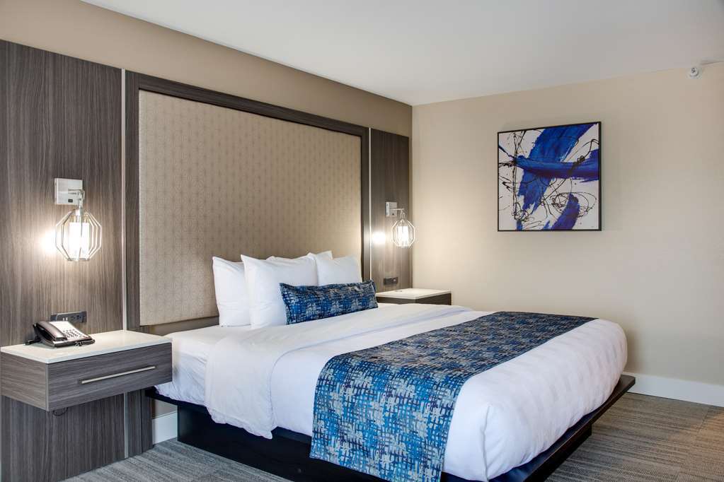 Best Western Plus Greenville I-385 Inn & Suites Oda fotoğraf