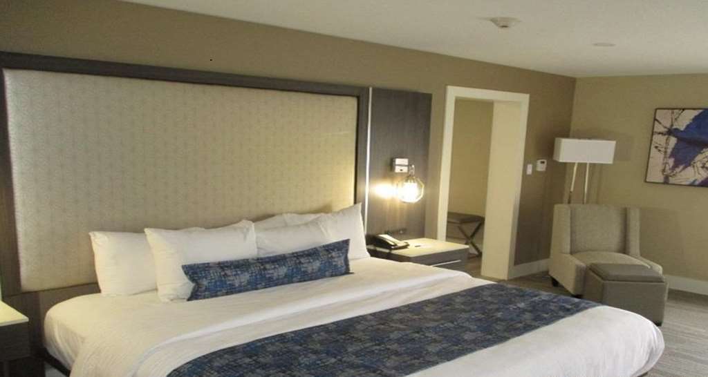 Best Western Plus Greenville I-385 Inn & Suites Oda fotoğraf